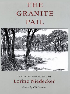 cover image of The Granite Pail